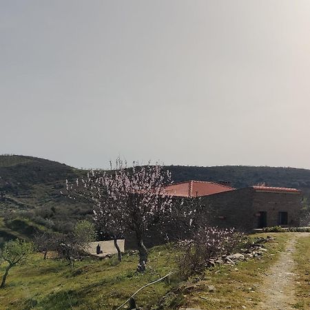 Вилла Eira Da Fraga Вила-Нова-ди-Фош-Коа Экстерьер фото